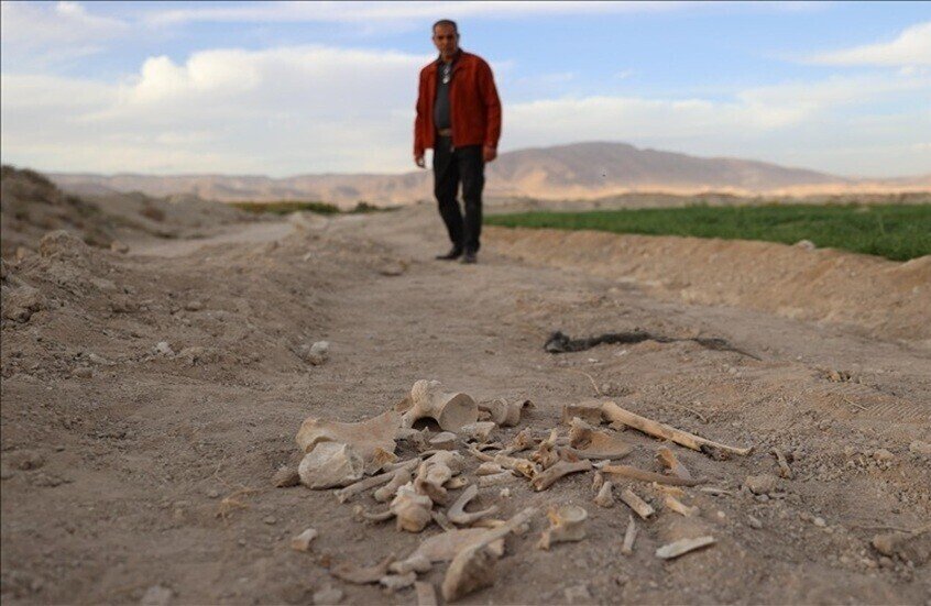 سوريا.. العثور على مقبرة جماعية داخل مقلع مهجور في عش الورور بدمشق (صورة)