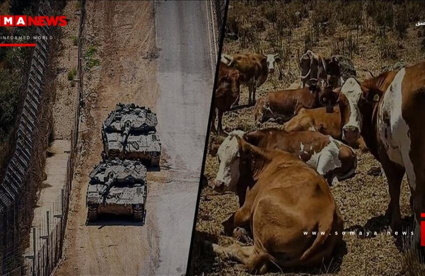 سوريا.. توغل قوة إسرائيلية في محيط قرية صيدا الجولان بمحافظة القنيطرة