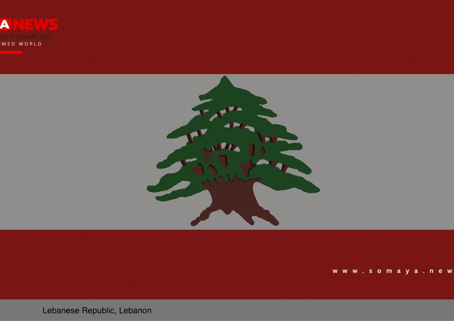 الجيش اللبناني يضبط نحو مليون حبة كبتاغون