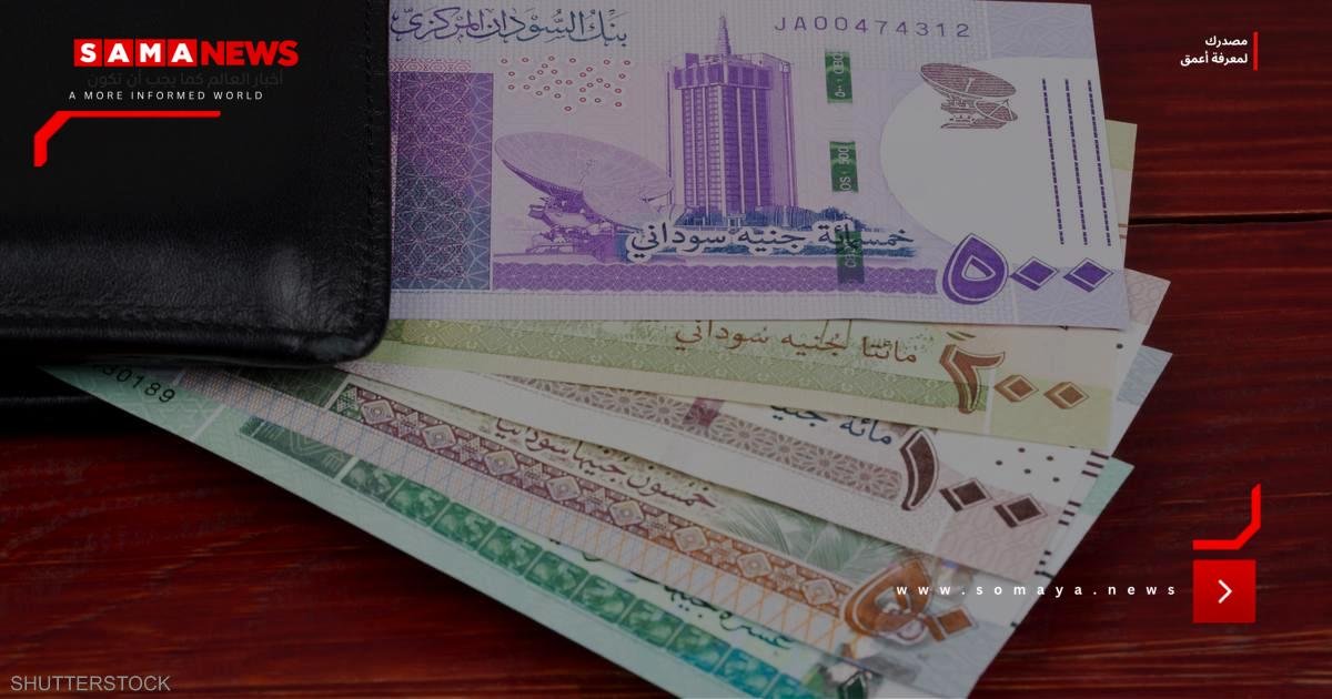 السودان يخسر 6 مليارات دولار سنوياً بسبب تحويلات المغتربين