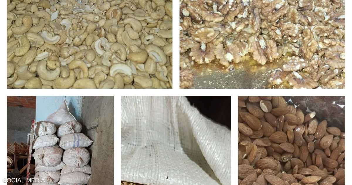 ديدان وقوارض.. تونس تحجز 86 طنًا من الأغذية الفاسدة