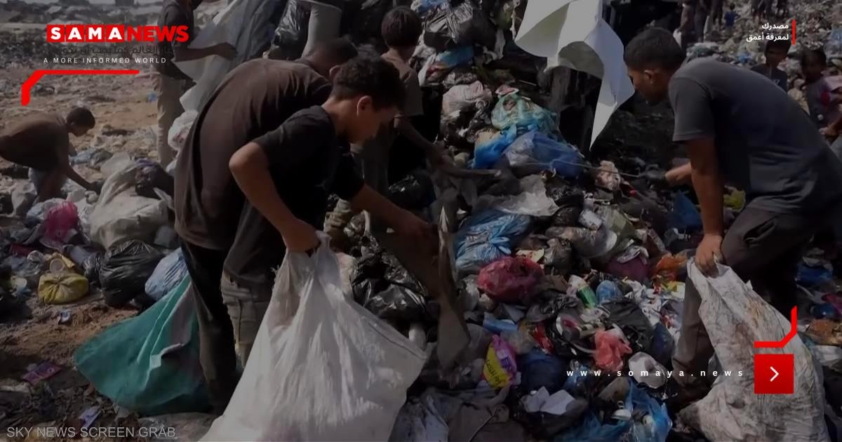 من مكبات النفايات.. أطفال غزة يجمعون وقود الطهي