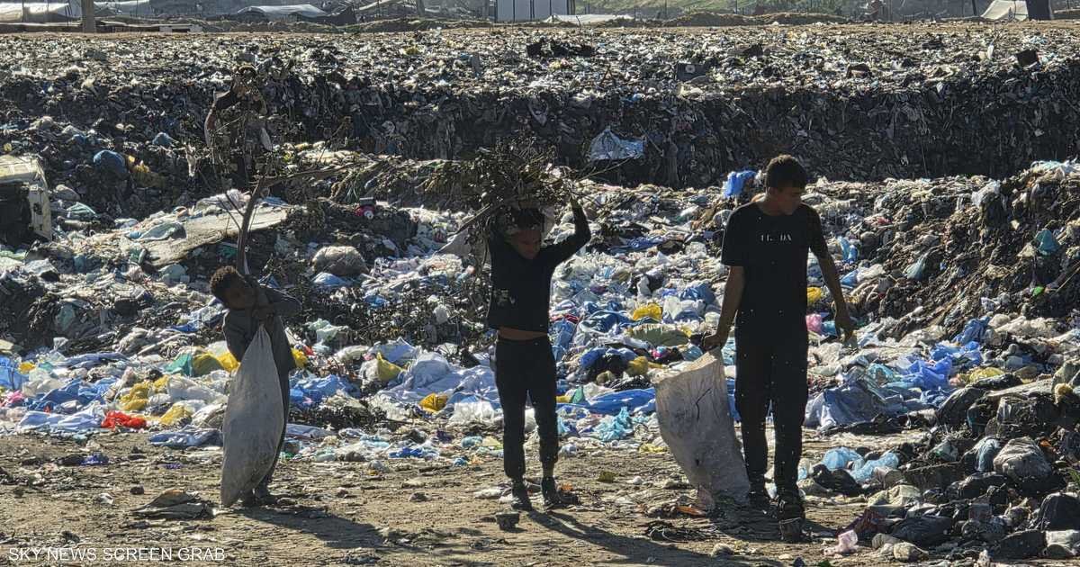 بالصور.. جمع الحطب مهنة محفوفة بالمخاطر قرب «الخط الأصفر» في غزة