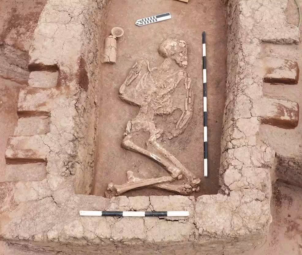مصر.. اكتشاف أثري جديد يكشف تاريخًا يمتد لآلاف السنين من الاستيطان البشري