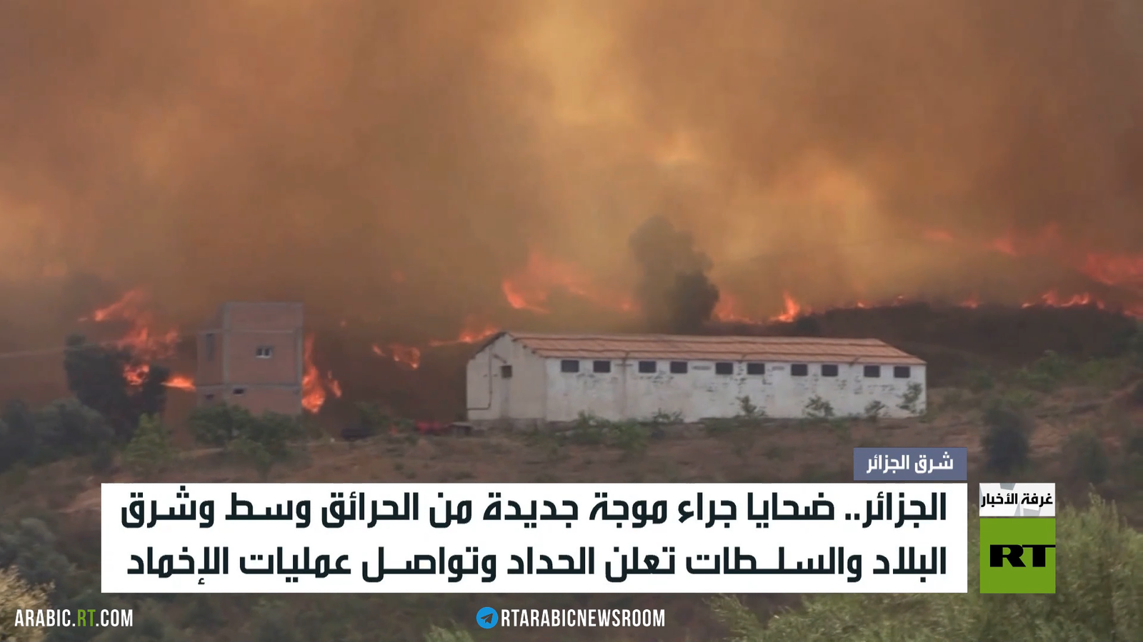 الجزائر.. حرائق مدمرة وسقوط ضحايا وإعلان حداد وطني