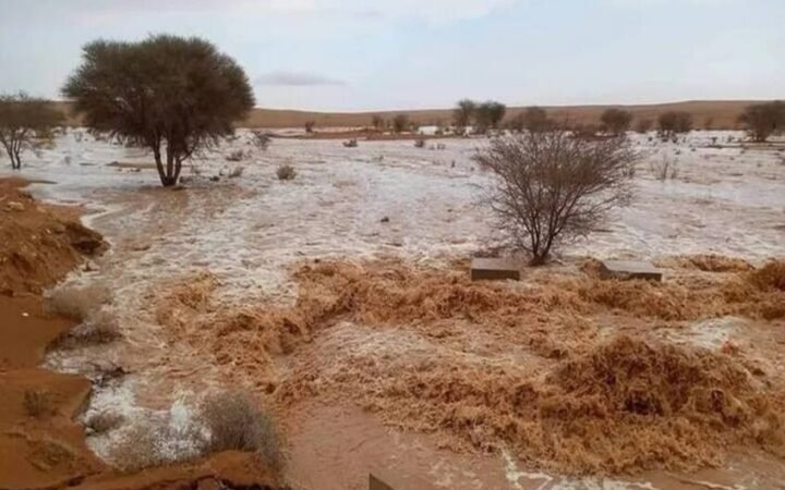 سيول في ليبيا