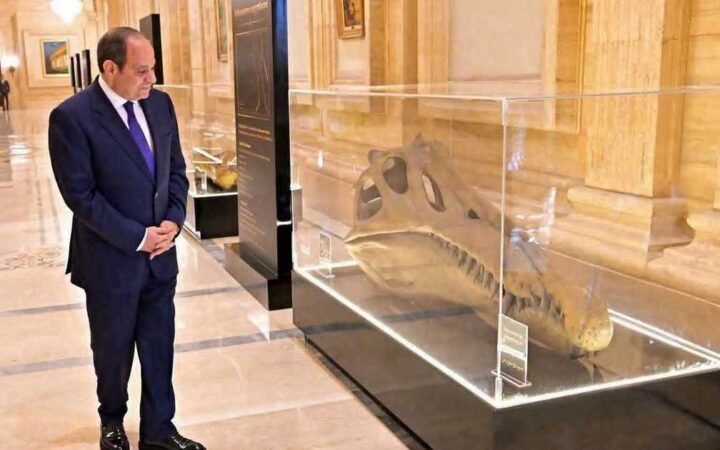 عمرها 100 مليون عام.. قطعة نادرة تستوقف السيسي