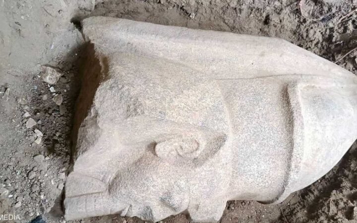 كشف أثري كبير في مصر.. قاده مواطن بالصدفة