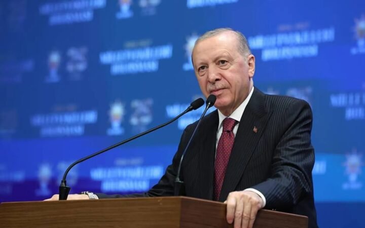 أردوغان: فيتو الخمسة يهدم إرادة 190 دولة.