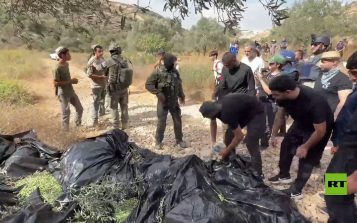 مستوطنون برفقة عناصر من الجيش الإسرائيلي يعتدون على قاطفي الزيتون في الضفة الغربية