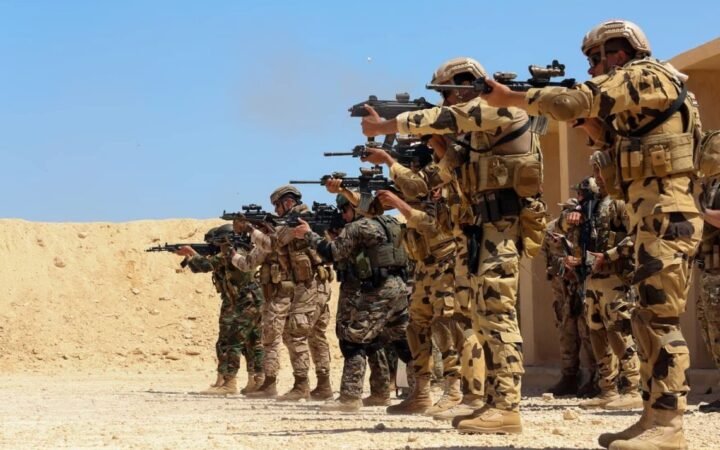"مصر لا تقفز في الظلام".. خبير يكشف لـRT موقف مصر من التحالفات العسكرية