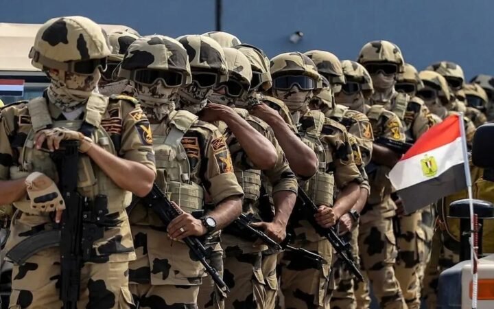 هل تتدخل مصر عسكريا في اليمن؟.. وزير الخارجية المصري يرد
