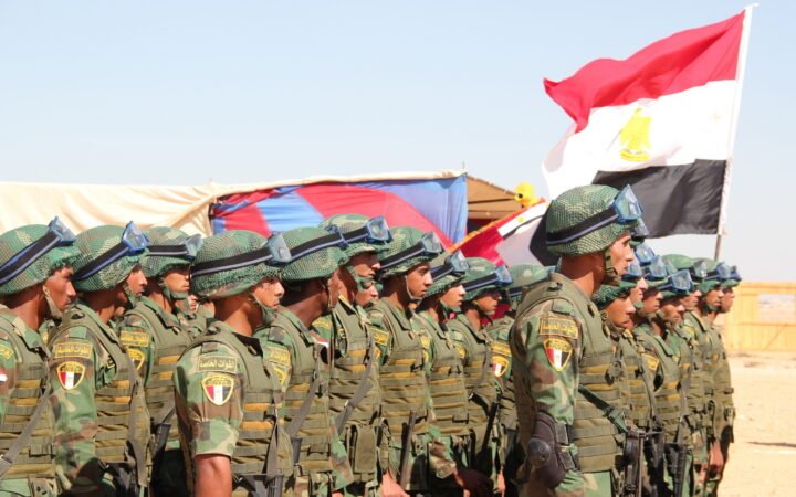 البرلمان المصري يرفع جلسته دون حسم مساندة السعودية عسكريا