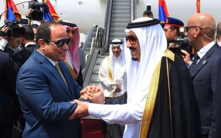 الرئيس السيسي خلال استقباله للملك سلمان بن عبدالعزيز خلال زيارته للقاهرة 2016