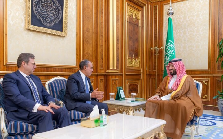 بعد تحرك مصري لدعم دفاع السعودية.. رسالة من السيسي تصل للملك سلمان