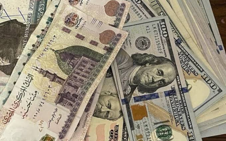 محافظ المركزي المصري يوضح أسباب الهبوط التاريخي للجنيه أمام الدولار
