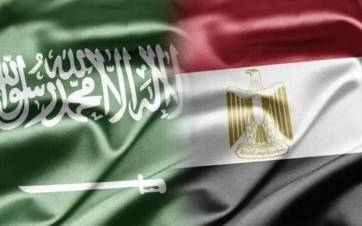 مصر تحسم الجدل: تفويض الدفاع عن السعودية لا يعني الحرب على اليمن