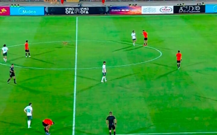 ضيف غير متوقع يوقف مباراة في الدوري المصري